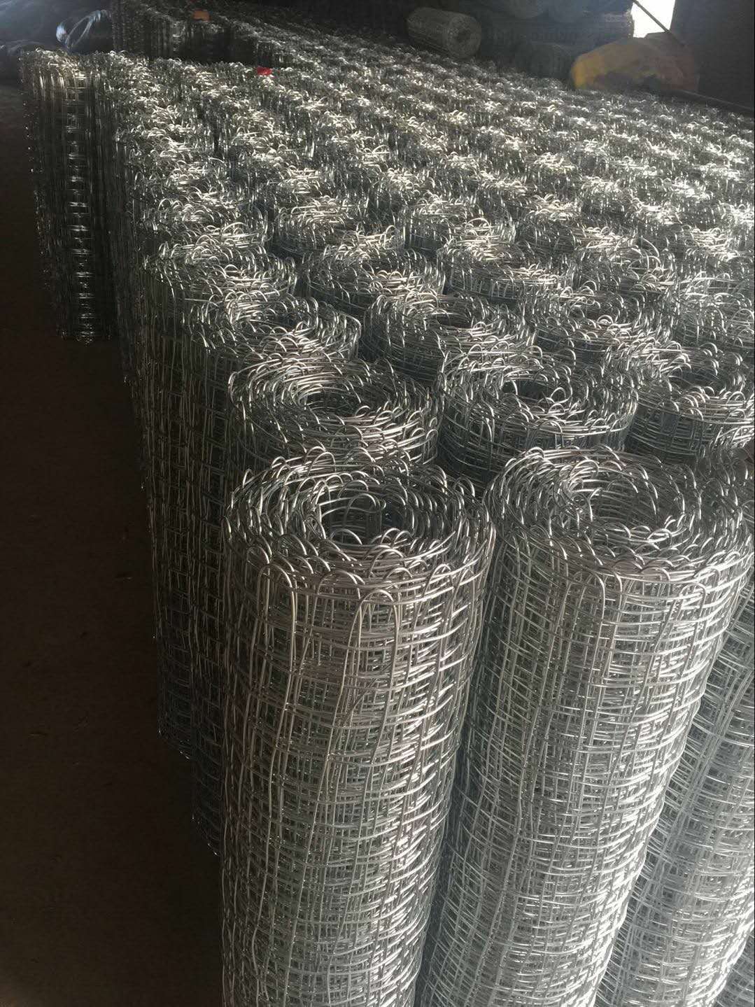 大同金屬經緯網鍍鋅煤礦經緯編織網