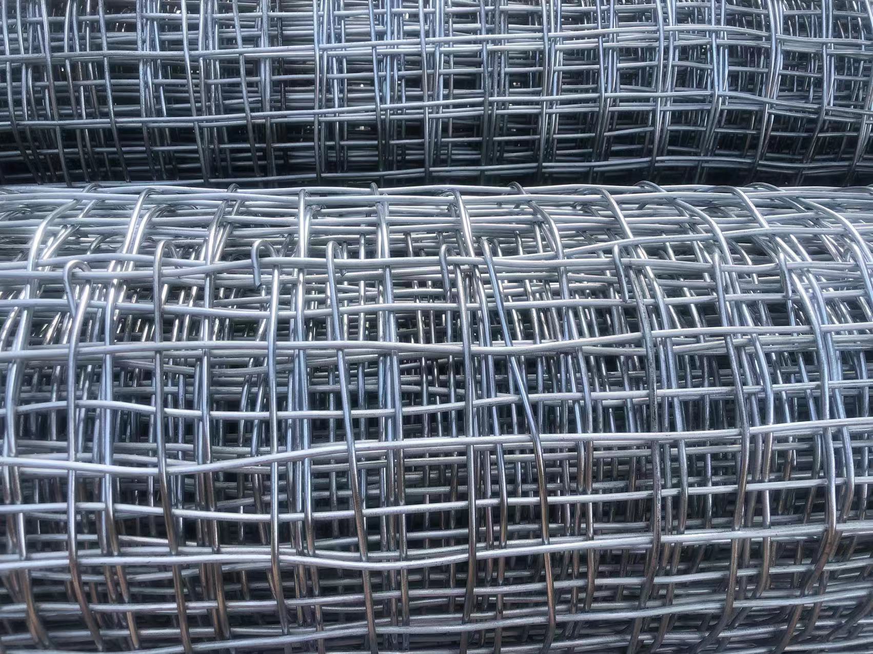 昆明煤礦井下用經緯形金屬網圖片2