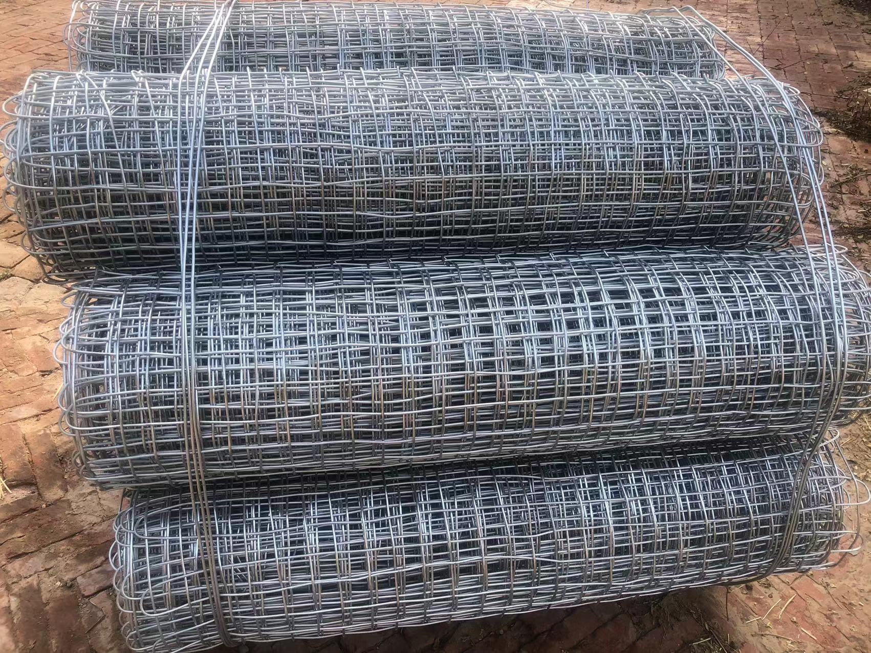 昆明煤礦井下用經緯形金屬網圖片3